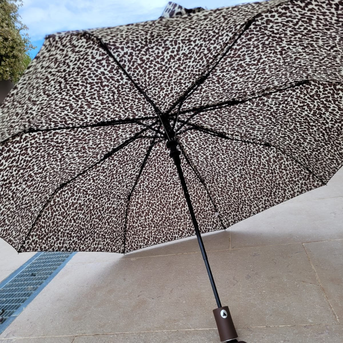 Parapluie Cherbourg