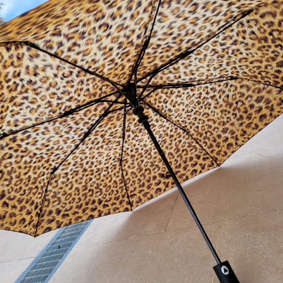 Parapluie Cherbourg